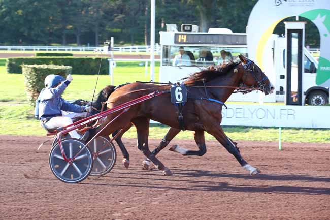 Photo d'arrivée de la course pmu PRIX DE VINCENNES à LYON PARILLY le Mercredi 18 septembre 2024