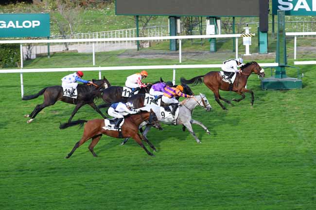 Photo d'arrivée de la course pmu PRIX DE L'AVENUE PYRAMIDE à SAINT CLOUD le Vendredi 20 septembre 2024