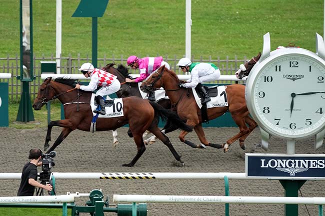 Photo d'arrivée de la course pmu PRIX DU BOIS FRANC à CHANTILLY le Samedi 21 septembre 2024