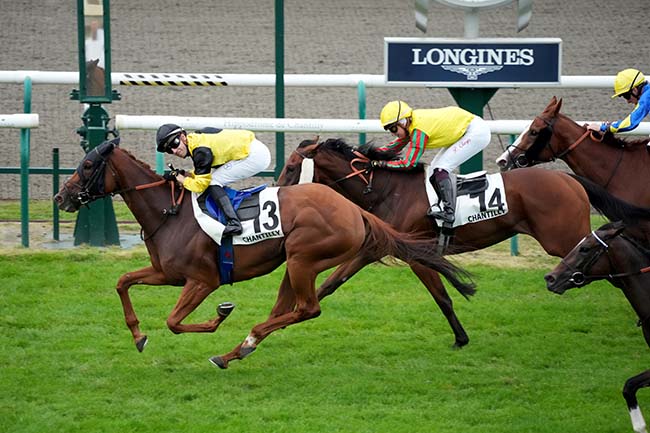 Photo d'arrivée de la course pmu PRIX DE LA GRANDE SINGERIE à CHANTILLY le Samedi 21 septembre 2024