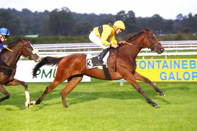 Photo d'arrivée de la course pmu PRIX PHILIPPE LORAIN (CHAMPIONNAT PARIS-TURF DES APPRENTIS & JEUNES JOCJEYS) à FONTAINEBLEAU le Dimanche 22 septembre 2024