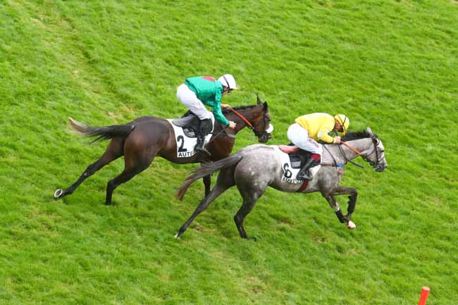 Arrivée quinté pmu PRIX CALABRAIS à AUTEUIL