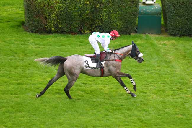 Photo d'arrivée de la course pmu PRIX THE FELLOW - MARQUISE DE MORATALLA à AUTEUIL le Mardi 24 septembre 2024