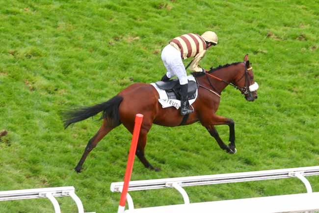Photo d'arrivée de la course pmu PRIX AMATI à AUTEUIL le Mardi 24 septembre 2024