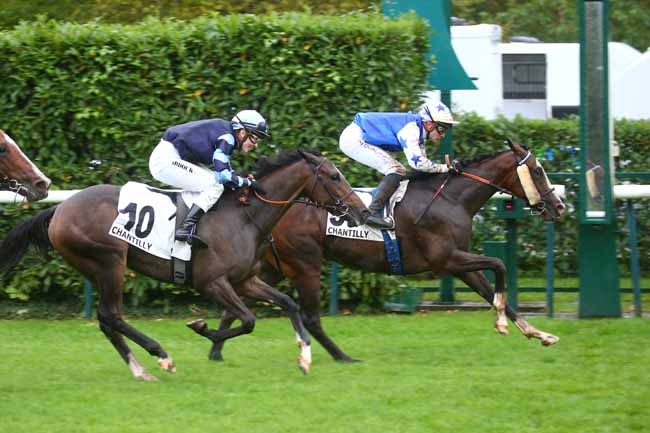 Photo d'arrivée de la course pmu PRIX DE LA MONTIGNETTE à CHANTILLY le Jeudi 26 septembre 2024