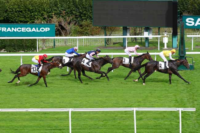 Photo d'arrivée de la course pmu PRIX THEBAIS à SAINT CLOUD le Vendredi 27 septembre 2024