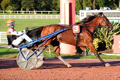 Photo d'arrivée de la course pmu PRIX DE LA PORTE DE COURCELLES à ENGHIEN le Samedi 28 septembre 2024