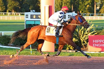Photo d'arrivée de la course pmu PRIX DE MAUPERTHUIS à ENGHIEN le Samedi 28 septembre 2024