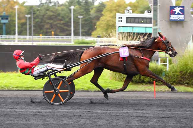 Photo d'arrivée de la course pmu PRIX RADIO LATINA (PRIX D'ARGELES) à PARIS-VINCENNES le Dimanche 29 septembre 2024