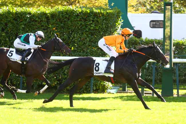 Photo d'arrivée de la course pmu PRIX DE RULLY à CHANTILLY le Mardi 1 octobre 2024