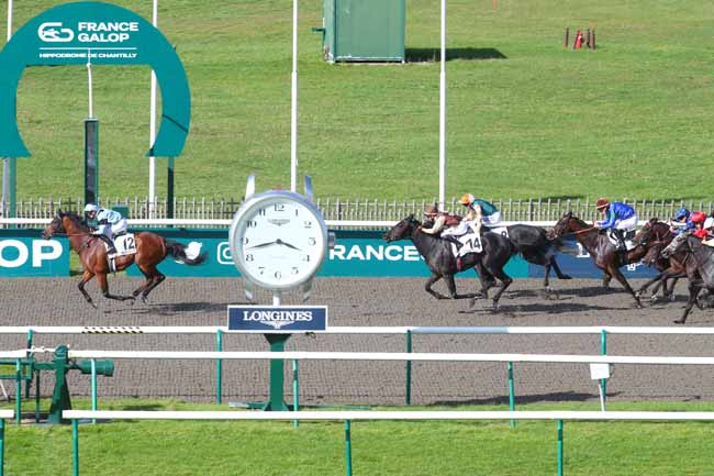 Photo d'arrivée de la course pmu PRIX DU SALON DES CONDE à CHANTILLY le Mardi 1 octobre 2024