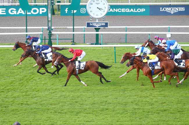 Photo d'arrivée de la course pmu PRIX DU BOIS BRANDIN à CHANTILLY le Mardi 1 octobre 2024