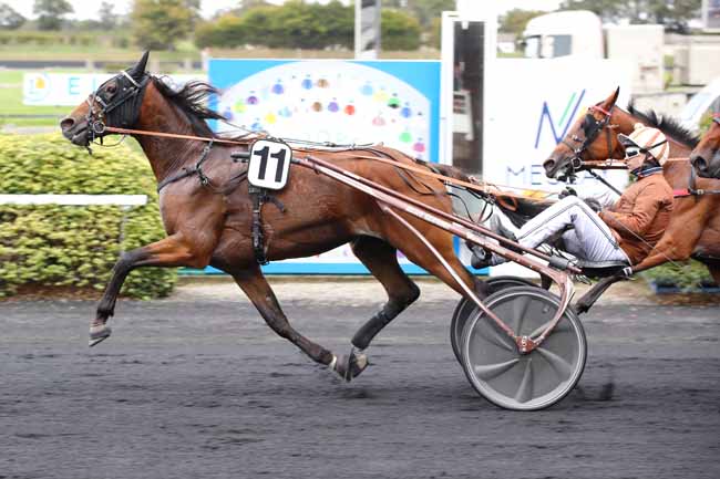 Photo d'arrivée de la course pmu PRIX DU PAYS DE MESLAY-GREZ à MESLAY DU MAINE le Mercredi 2 octobre 2024