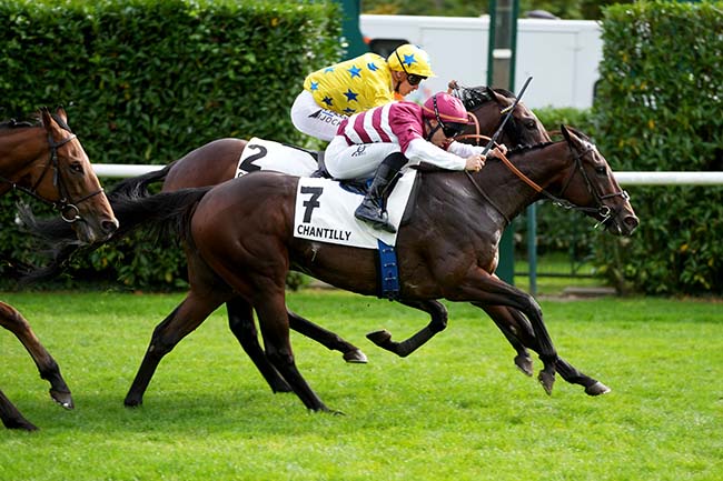 Photo d'arrivée de la course pmu PRIX DE BONNEVAL à CHANTILLY le Jeudi 3 octobre 2024