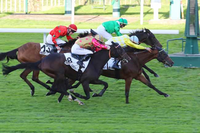 Photo d'arrivée de la course pmu PRIX D'AUFFARGIS à SAINT CLOUD le Vendredi 4 octobre 2024