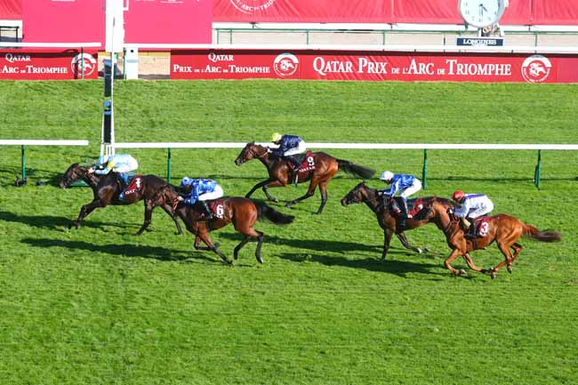 Photo d'arrivée de la course pmu QATAR PRIX DANIEL WILDENSTEIN à LONGCHAMP le Samedi 5 octobre 2024