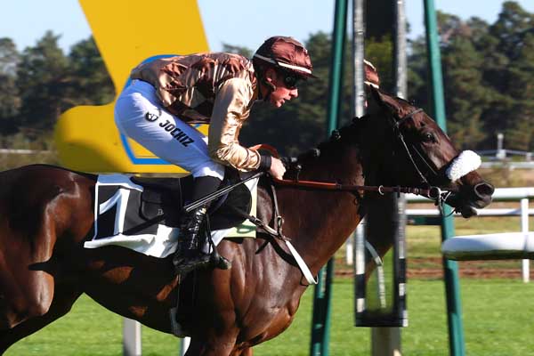 Photo d'arrivée de la course pmu PRIX COLONEL JOCHAUD DU PLESSIX à FONTAINEBLEAU le Samedi 5 octobre 2024