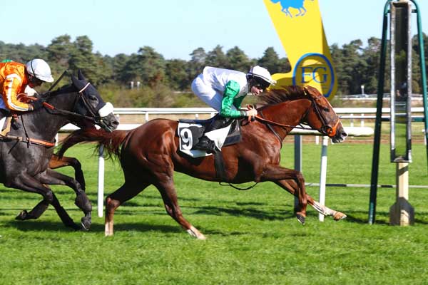 Photo d'arrivée de la course pmu PRIX DU CARREFOUR DE L'OBELISQUE à FONTAINEBLEAU le Samedi 5 octobre 2024