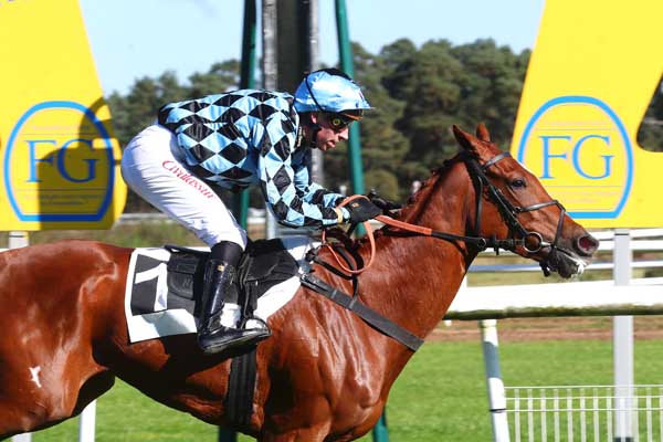 Photo d'arrivée de la course pmu PRIX DE LA TABLE DU ROI - PELOTON B à FONTAINEBLEAU le Samedi 5 octobre 2024