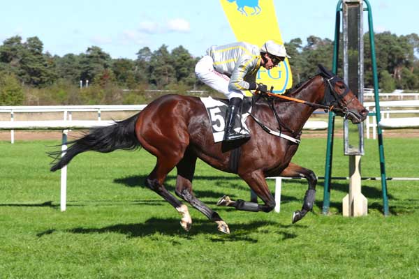 Photo d'arrivée de la course pmu STEEPLE-CHASE DE DEBUT à FONTAINEBLEAU le Samedi 5 octobre 2024