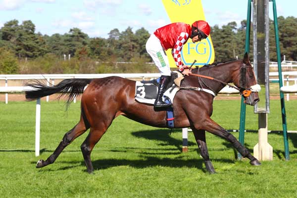Photo d'arrivée de la course pmu PRIX DE L'ECOLE MILITAIRE D'EQUITATION à FONTAINEBLEAU le Samedi 5 octobre 2024