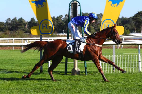 Photo d'arrivée de la course pmu PRIX DE CERNAY à CABOURG le Samedi 5 octobre 2024