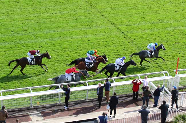 Arrivée quinté pmu PRIX GUILLAUME DE PRACOMTAL à AUTEUIL