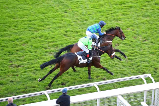 Photo d'arrivée de la course pmu PRIX PIOMARES - GUY NEGREL à AUTEUIL le Mardi 8 octobre 2024