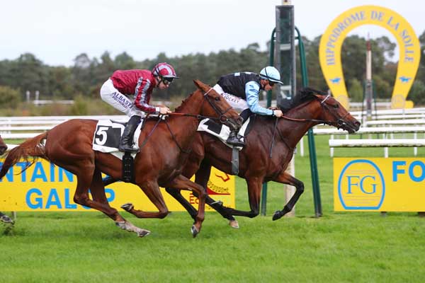 Photo d'arrivée de la course pmu PRIX DES MYOSOTIS à FONTAINEBLEAU le Mardi 8 octobre 2024