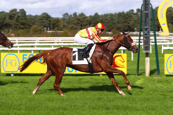 Photo d'arrivée de la course pmu PRIX ARTUS DE MAILLE à FONTAINEBLEAU le Mardi 8 octobre 2024