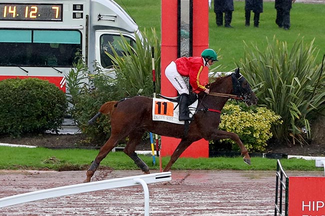 Photo d'arrivée de la course pmu PRIX DU PONT ROYAL à ENGHIEN le Mercredi 9 octobre 2024
