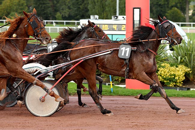 Photo d'arrivée de la course pmu PRIX DE LA PORTE D'ISSY à ENGHIEN le Jeudi 10 octobre 2024
