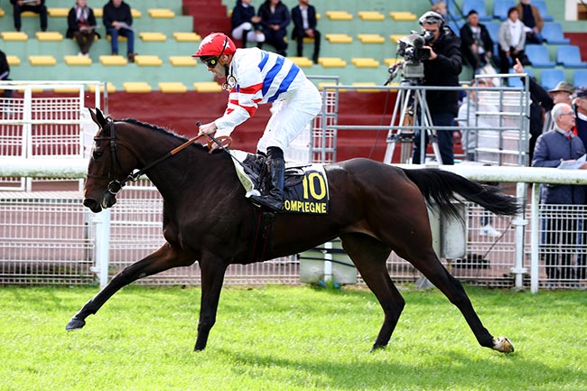 Photo d'arrivée de la course pmu PRIX DE JONQUIERES à COMPIEGNE le Vendredi 11 octobre 2024