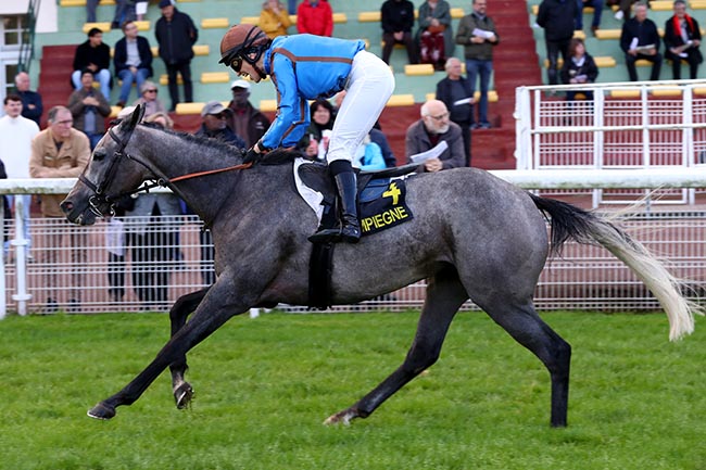 Photo d'arrivée de la course pmu PRIX ANNIE DONGUY à COMPIEGNE le Vendredi 11 octobre 2024