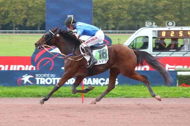 Photo d'arrivée de la course pmu SAINT-LEGER DES TROTTEURS à CAEN le Samedi 12 octobre 2024
