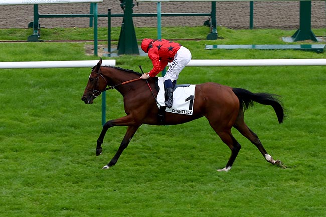 Photo d'arrivée de la course pmu PRIX DU TEMPLE DE VENUS à CHANTILLY le Samedi 12 octobre 2024