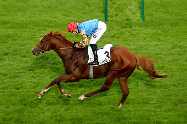 Photo d'arrivée de la course pmu PRIX LE FABULEUX à CHANTILLY le Samedi 12 octobre 2024