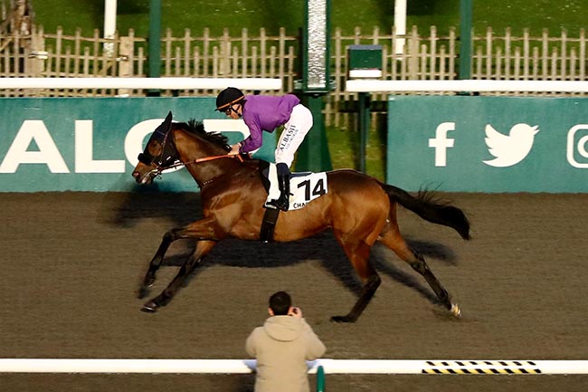 Photo d'arrivée de la course pmu PRIX DU RU POPELIN à CHANTILLY le Samedi 12 octobre 2024
