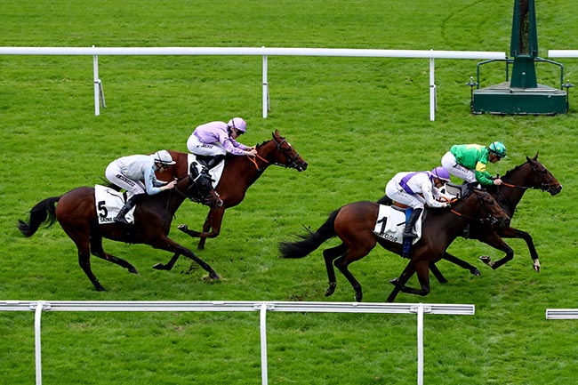 Photo d'arrivée de la course pmu PRIX PHAREL à SAINT CLOUD le Lundi 14 octobre 2024