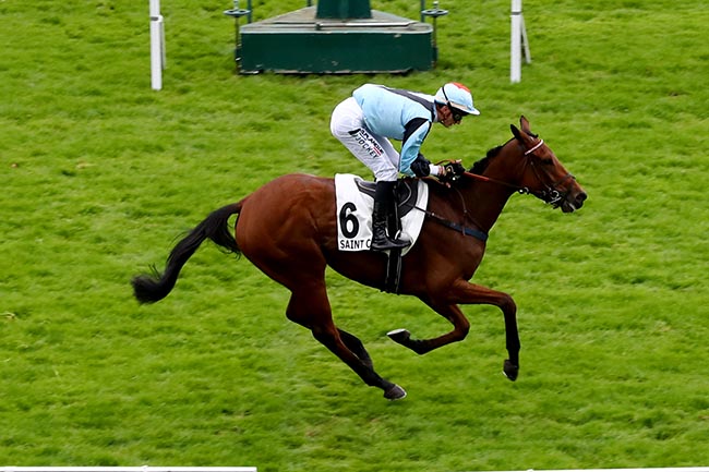 Photo d'arrivée de la course pmu PRIX DU BOURBONNAIS à SAINT CLOUD le Lundi 14 octobre 2024