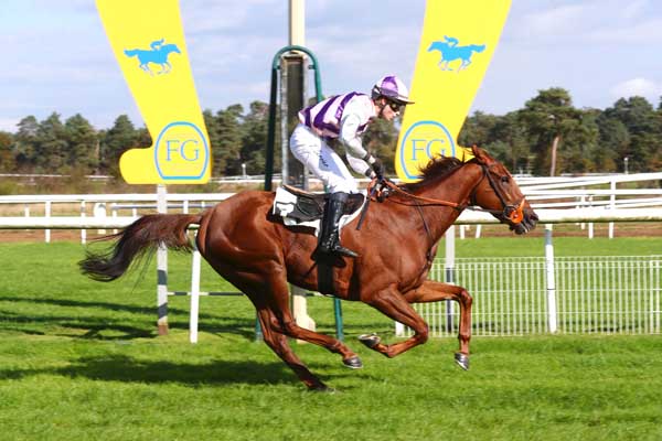 Photo d'arrivée de la course pmu PRIX DU MONT USSY à FONTAINEBLEAU le Lundi 14 octobre 2024