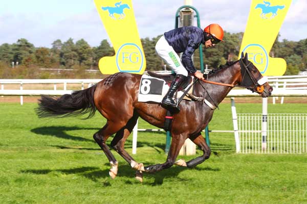 Photo d'arrivée de la course pmu PRIX ANDRE PAROT à FONTAINEBLEAU le Lundi 14 octobre 2024