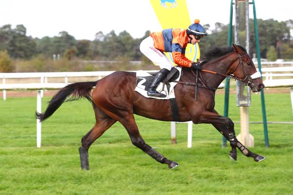 Photo d'arrivée de la course pmu PRIX PIERRE DEBROISE à FONTAINEBLEAU le Lundi 14 octobre 2024