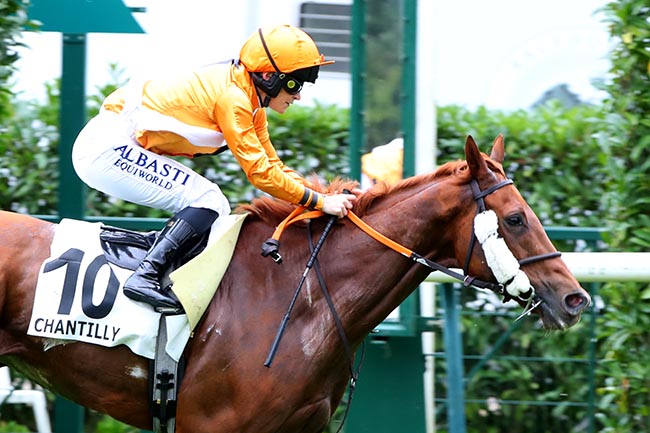 Arrivée quinté pmu PRIX DE LA VIERGE DE LORETTE à CHANTILLY