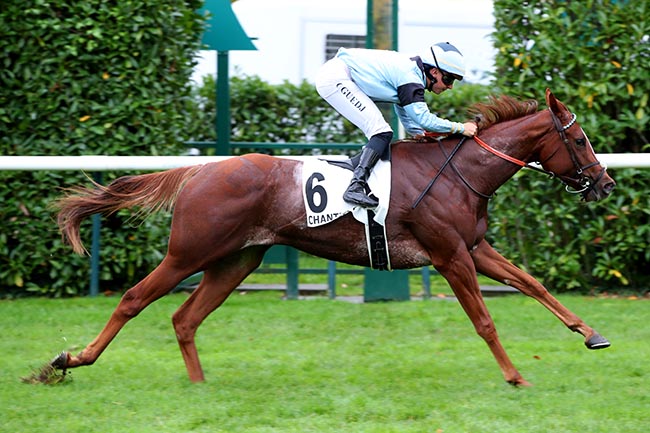Photo d'arrivée de la course pmu PRIX DU GRAND VIVIER à CHANTILLY le Jeudi 17 octobre 2024