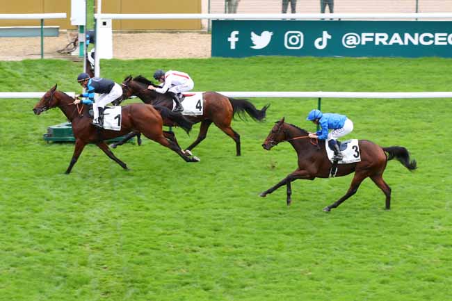 Photo d'arrivée de la course pmu PRIX DU CONSEIL DE PARIS à LONGCHAMP le Dimanche 20 octobre 2024