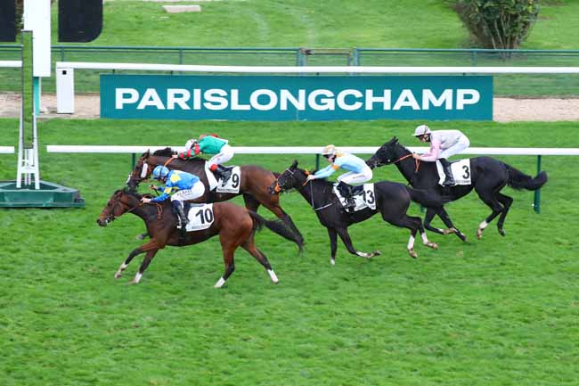 Photo d'arrivée de la course pmu PRIX DES HAUDRIETTES à LONGCHAMP le Dimanche 20 octobre 2024