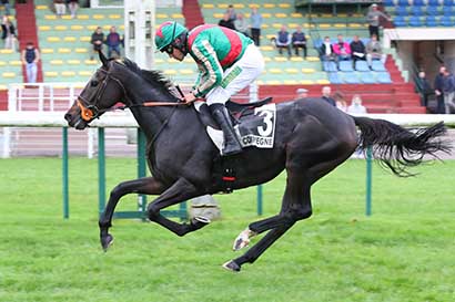 Photo d'arrivée de la course pmu PRIX FRANCOIS DE CHEVIGNY à COMPIEGNE le Lundi 21 octobre 2024