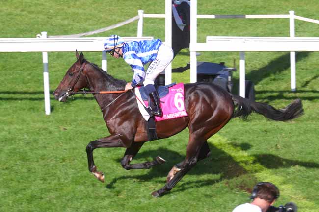 Photo d'arrivée de la course pmu PRIX SEIN-BOLIQUE (PRIX FILIBERTO) à CLAIREFONTAINE le Mardi 22 octobre 2024