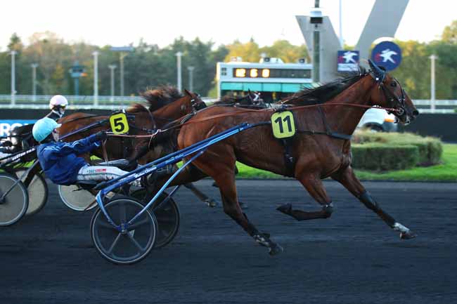 Photo d'arrivée de la course pmu PRIX FELICITAS à PARIS-VINCENNES le Mardi 22 octobre 2024